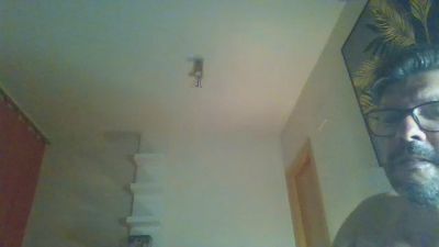 bispose webcam model stream image