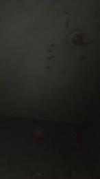 Dgiansprid webcam model stream image