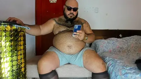 Bearspigdirty webcam stripchat model stream image