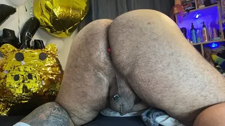 Bearspigdirty webcam stripchat model stream image