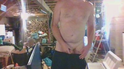 Beeffarmer webcam model stream image