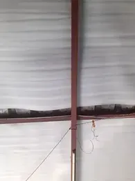 Burhade-- webcam model stream image