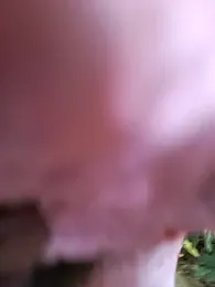 roxyrougee webcam stripchat model stream image