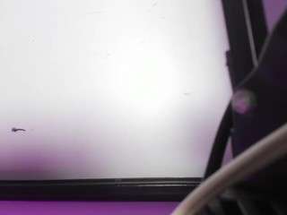 antonia-star webcam model stream image