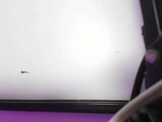 antonia-star webcam model stream image