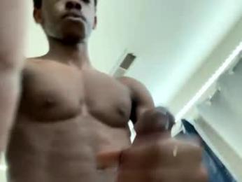 brick280446 webcam model stream image