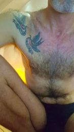 trazodon81 webcam model stream image