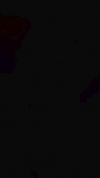 Pyerry82 webcam model stream image