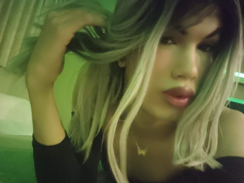 NiccollsSweet webcam livejasmin model stream image