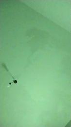 Lalobaxx webcam model stream image