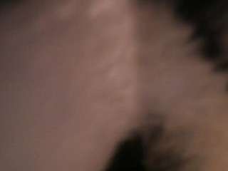 elenna-salvatoree webcam model stream image