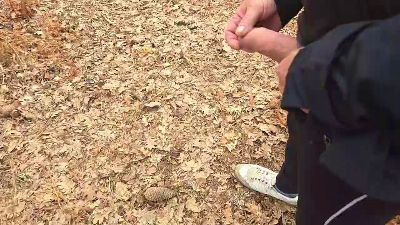 Cuni40 webcam model stream image