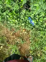 Somesh9990 webcam model stream image