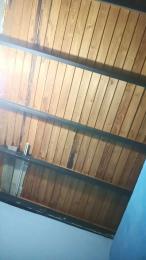 Primossexo webcam model stream image