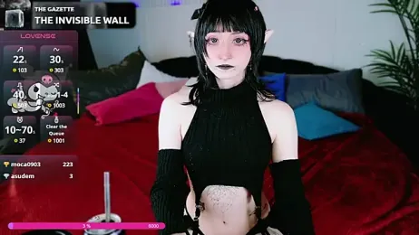 hyakkikenran webcam model stream image