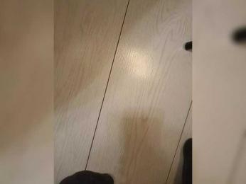 GTWET webcam model stream image