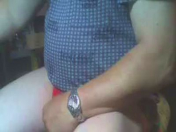 leobau webcam model stream image