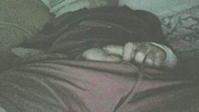 roberdefor webcam model stream image