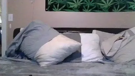 cheekychick420 webcam model stream image