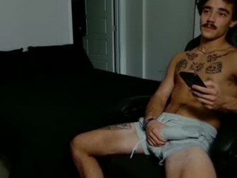aries_pov webcam chaturbate model stream image