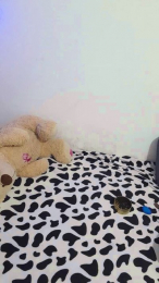 sebastin_bn1 webcam model stream image