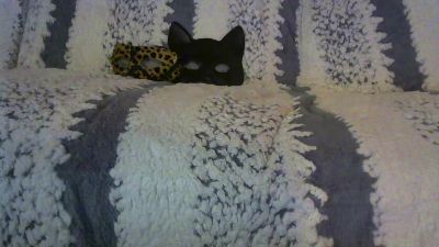 Permi webcam model stream image