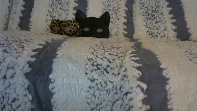 Permi webcam model stream image