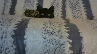 Permi webcam model stream image