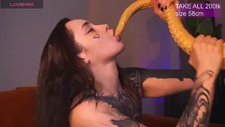 EvaCanton webcam model stream image