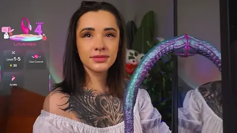 EvaCanton webcam model stream image