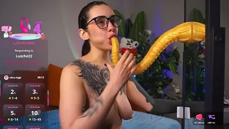 EvaCanton webcam model stream image