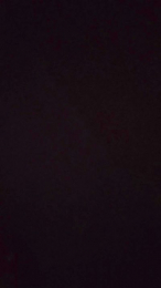 peke43 webcam model stream image