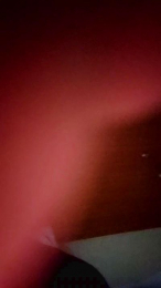 peke43 webcam model stream image
