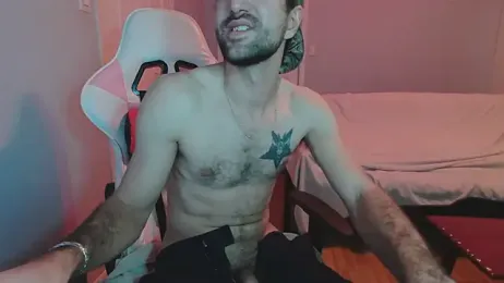 Ardokks webcam model stream image