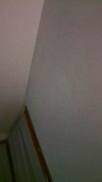 diana307 webcam cam4 model stream image