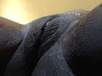 Joycc1 webcam model stream image