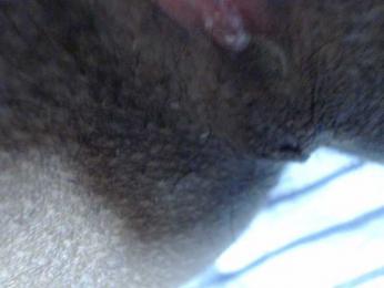 AnitaQuin webcam bongacams model stream image