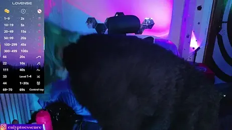 CalyptoEssence webcam model stream image