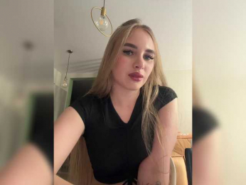 Havvyer webcam model stream image
