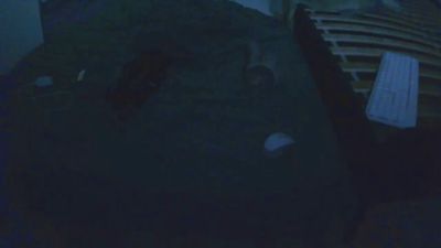 slutbottom26bcn webcam model stream image