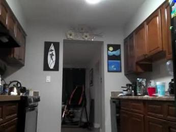 properfuct webcam model stream image