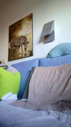 Erikgay47es webcam model stream image
