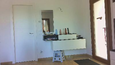 _Bonobo webcam model stream image
