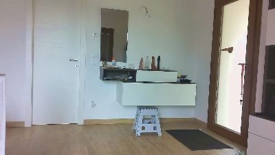 _Bonobo webcam model stream image
