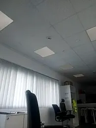 Husoban webcam model stream image