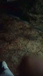 Lechebizvm webcam model stream image