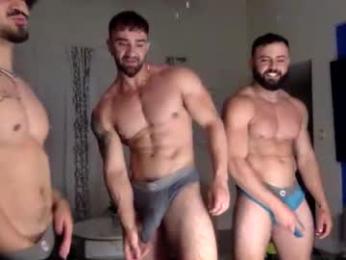 v4lenci webcam model stream image