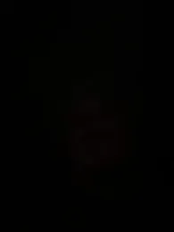 AlexR9700 webcam model stream image