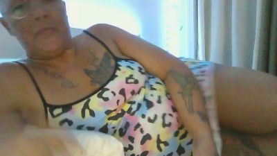 Papillon7362 webcam model stream image