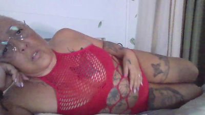 Papillon7362 webcam model stream image